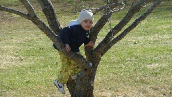 Tree Climbing: White Earth Reservation Gets Moving Outside