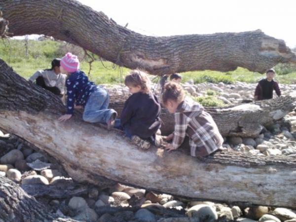 Children at Play: Nature and the Coulsa Indian Community 