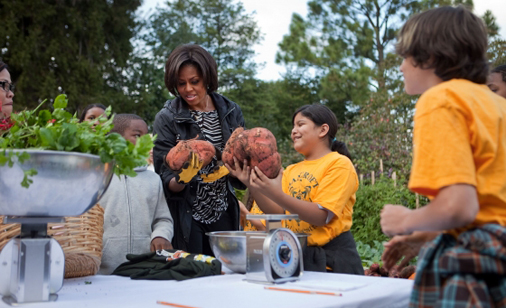 The Fall Kitchen Garden Harvest