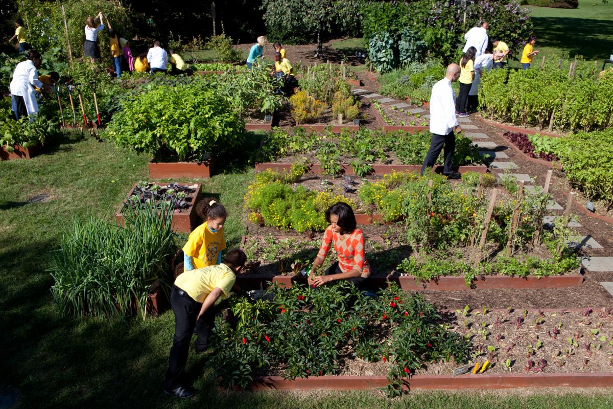 farm kitchen garden wall