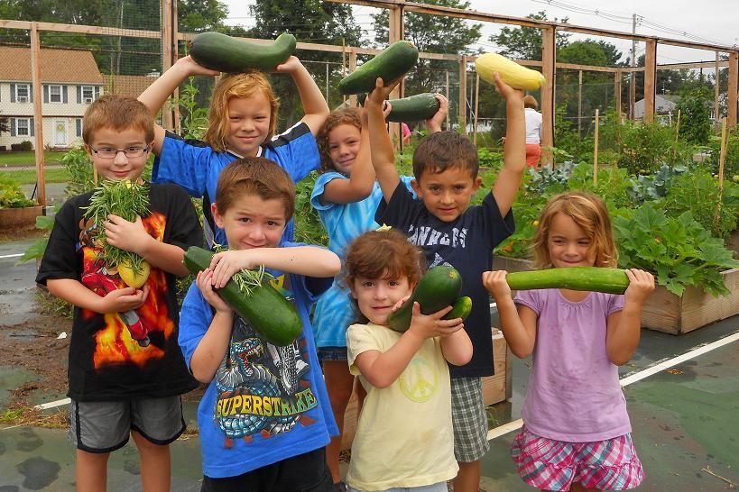 The school garden club in Wallingford School District in Connecticut grows a wide variety of vegetables: Carrots, Potatoes, Green Beans, Yellow Squash, Zucchini, Broccoli, Tomatoes, Green Peppers, Jalapenos, Cucumbers, Purple Eggplant, White Eggplant, Radishes, Beets, Red Onions, Cherry Tomatoes, Sugar Snap Peas, Strawberries, Rosemary, Oregano, Basil, Dill, Italian Parsley, Pumpkins, Gourds, and Sunflowers. Delicious! 