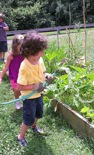 Young gardeners