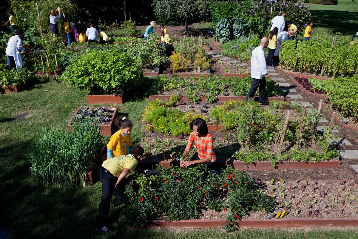 What we learned in the garden with former White House chef and