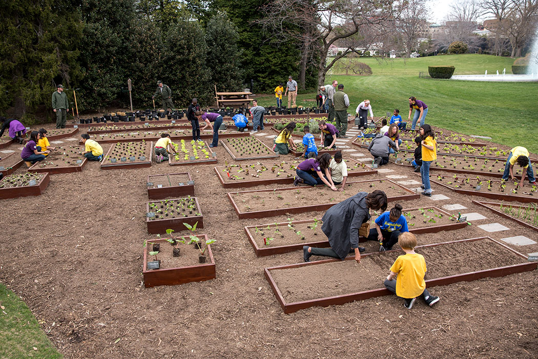 What we learned in the garden with former White House chef and