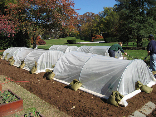 Completed hoop houses at the White House garden.