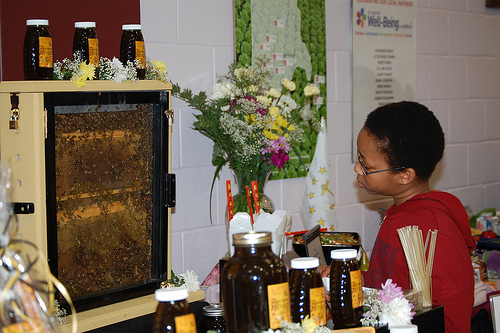 Know Your Farmer, Know Your Food with Bee Keeper Mello. He brought a hive from Aquidneck Island Apiaries (honey  is one of the many local ingredients used in Pawtucket’s breakfast and lunches, provided by local farmers)